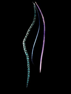 kék és lila kézzel festett valódi madártoll Hajbatoll 3 darabos szett fekete háttéren fotózva 