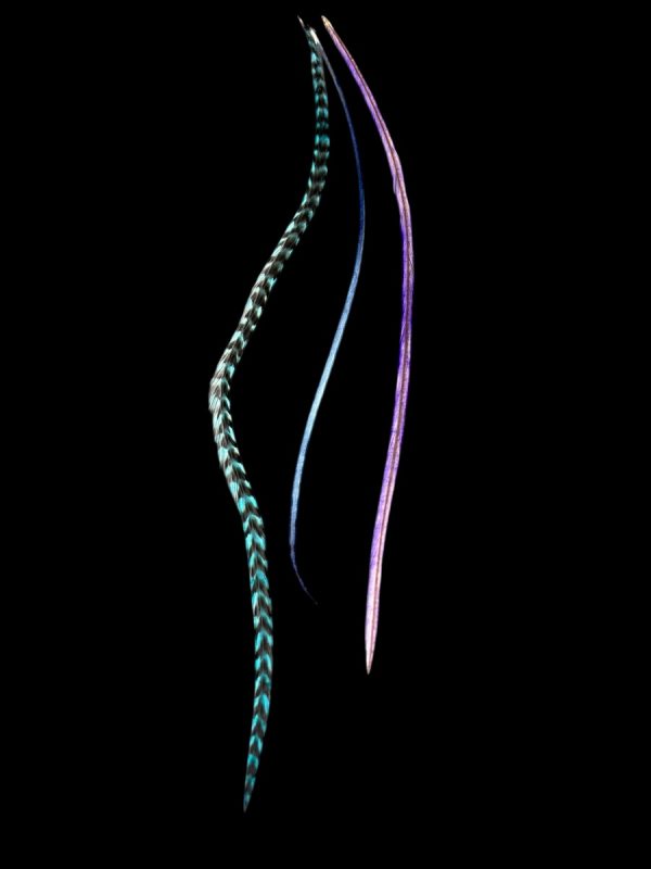 Hajbatoll – 14 kék és lila kézzel festett valódi madártoll Hajbatoll 3 darabos szett fekete háttéren fotózva