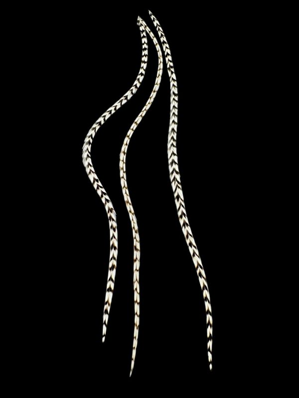 fekete-fehér kontrasztos valódi madártoll Hajbatoll 3 darabos szett fekete háttéren fotózva