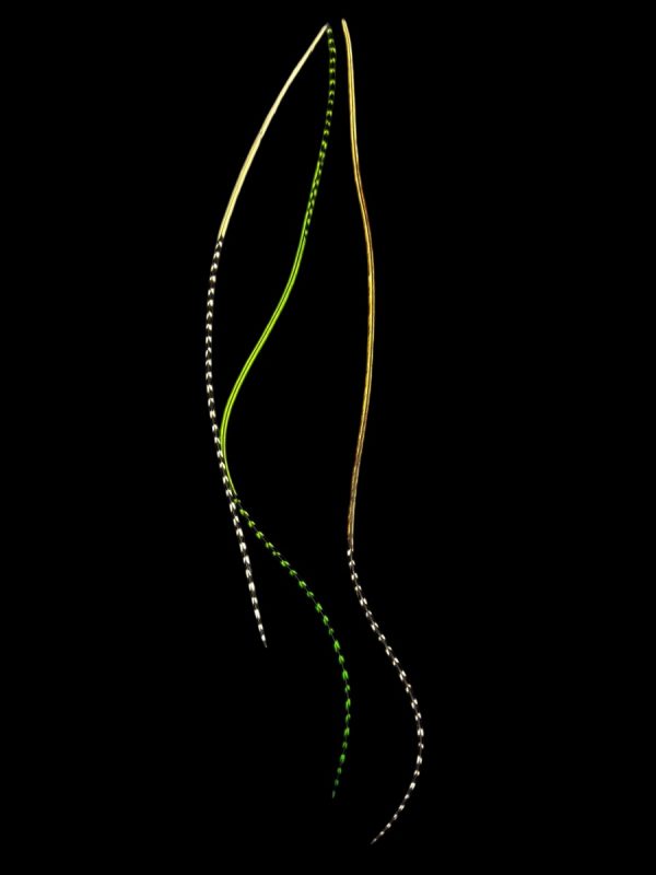 zöld kézzel festett és natúr csíkos valódi madártoll Hajbatoll 3 darabos szett fekete háttéren fotózva 