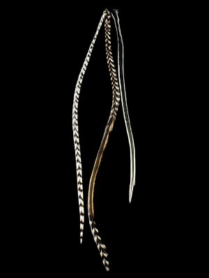 fekete-fehér kontrasztos valódi madártoll Hajbatoll 3 darabos szett fekete háttéren fotózva