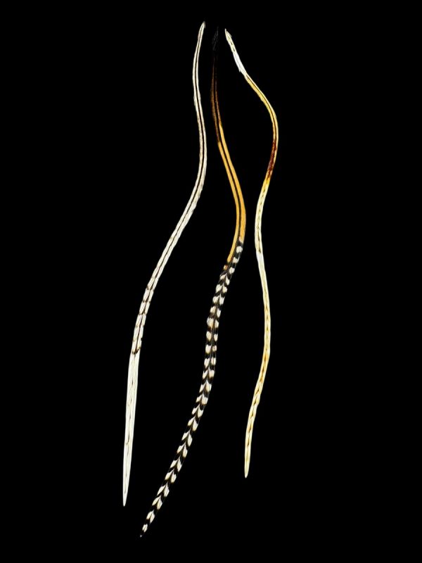 Hajbatoll – 19 natúr barna-fehér foltos, csíkos valódi madártoll Hajbatoll 3 darabos szett fekete háttéren fotózva