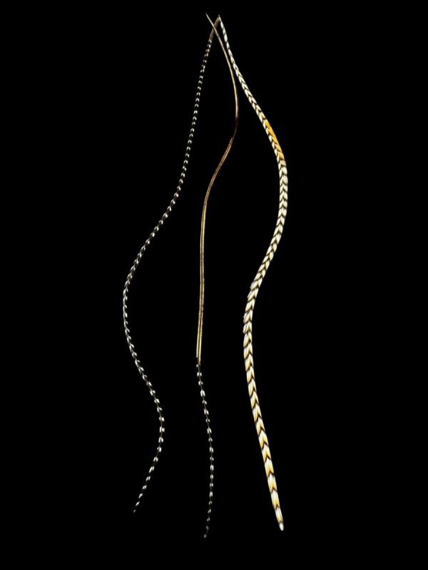 Hajbatoll – 20 natúr barna-fehér-fekete valódi madártoll Hajbatoll 3 darabos szett fekete háttéren fotózva