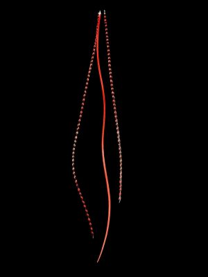 piros kézzel festett valódi madártoll Hajbatoll 3 darabos szett fekete háttéren fotózva 