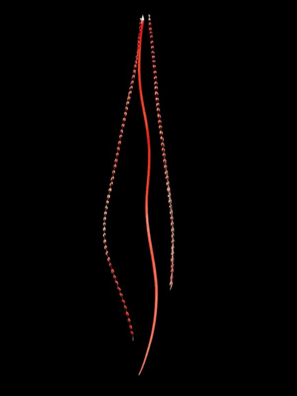 Hajbatoll – 21 piros kézzel festett valódi madártoll Hajbatoll 3 darabos szett fekete háttéren fotózva