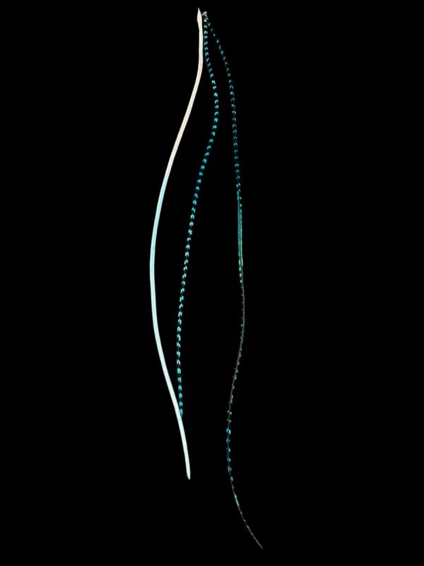 Hajbatoll – 23 türkiz kézzel festett valódi madártoll Hajbatoll 3 darabos szett fekete háttéren fotózva