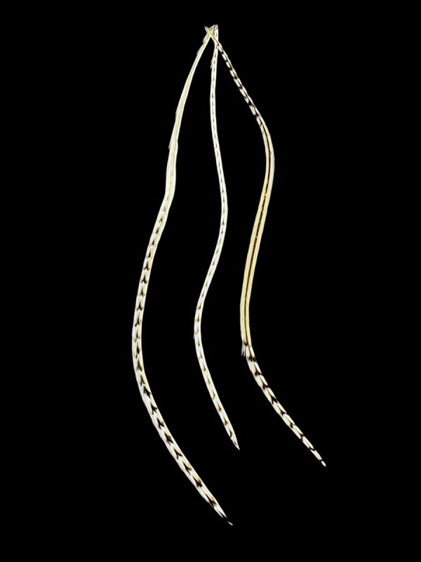 natúr barnás csíkos valódi madártoll Hajbatoll 3 darabos szett fekete háttéren fotózva