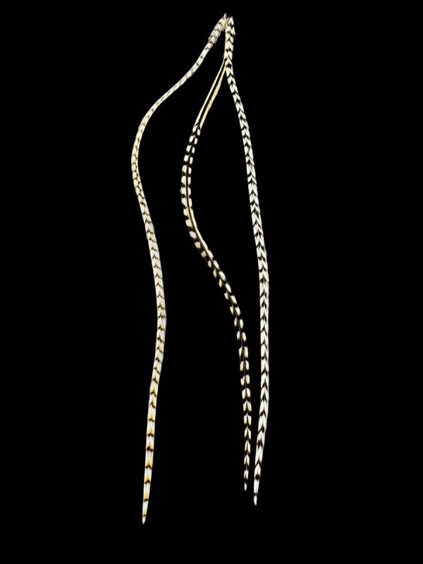 fekete-fehér kontrasztos valódi madártoll Hajbatoll 3 darabos szett fekete háttéren fotózva