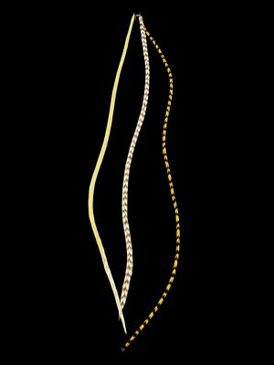 natúr pasztel barnás valódi madártoll Hajbatoll 3 darabos szett fekete háttéren fotózva