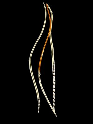 natúr világos barnás vöröses valódi madártoll Hajbatoll 3 darabos szett fekete háttéren fotózva