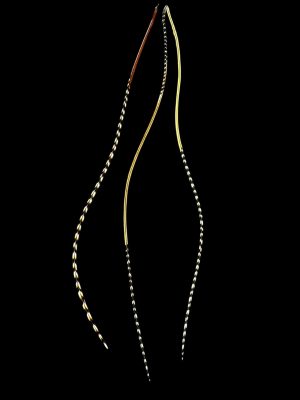 natúr csíkos valódi madártoll Hajbatoll 3 darabos szett fekete háttéren fotózva