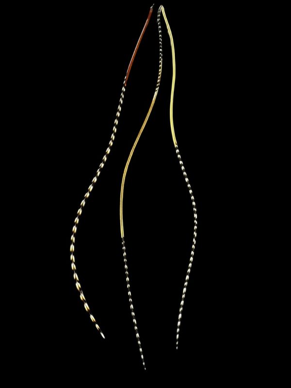 natúr csíkos valódi madártoll Hajbatoll 3 darabos szett fekete háttéren fotózva