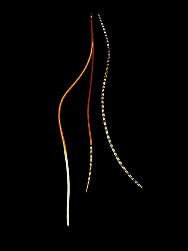 Hajbatoll – 29 natúr barnás fekete-fehér valódi madártoll Hajbatoll 3 darabos szett fekete háttéren fotózva