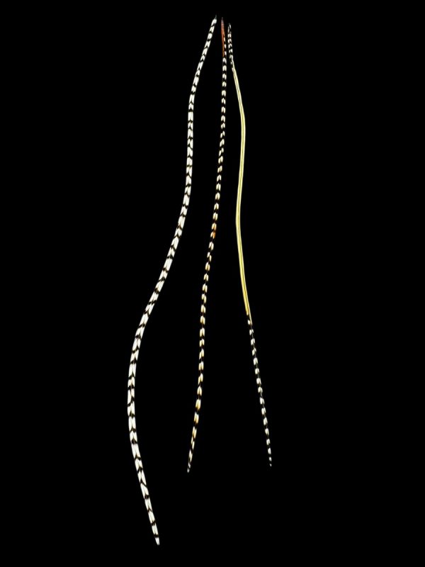 fekete,barna-fehér kontrasztos valódi madártoll Hajbatoll 3 darabos szett fekete háttéren fotózva